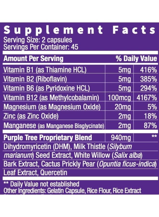 purple tree Celebration Recovery Pills | Better Mornings, Happy Liver, Rapid Hydration | Dihydromyricetin DHM, Milk Thistle, Electrolytes, Vitamin B, Willow Bark, Prickly Pear, Quercetin (90 Pills) - Image 4